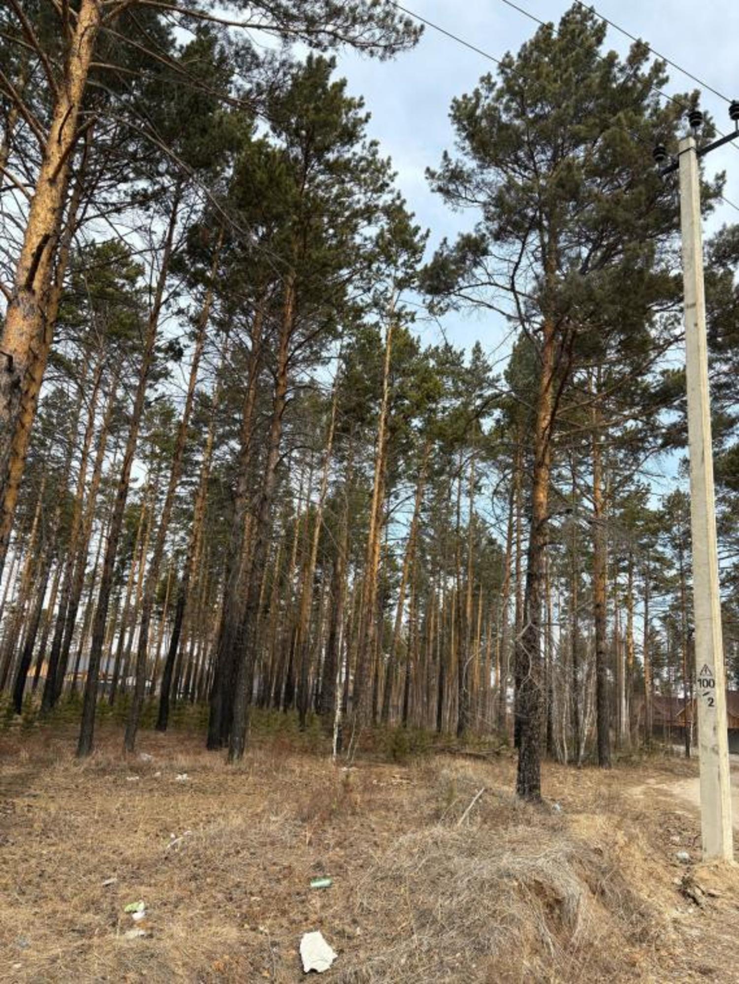 Купить землю, земельный участок за 1 100 000 рублей на Шоссейная