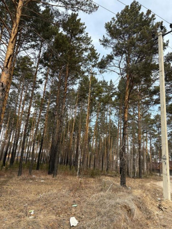 Земельный участок Шоссейная