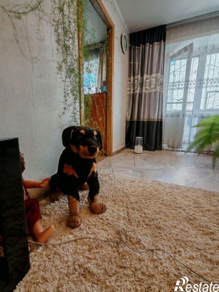 3-комн квартира Чита