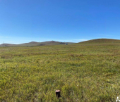 земля 15 сот 